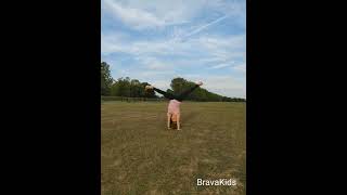 Fia Bella is quite the gymnast.      #bravakids