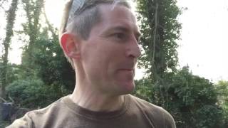 Ants Allotment: Out with the old