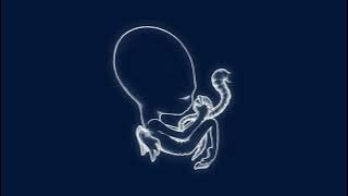 Sigur Rós - Ágætis byrjun [Full Album Stream]