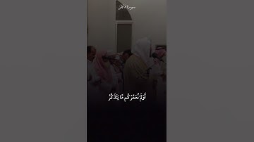 سورة فاطر | هادي آل عسكر | Surat Fatir | Hadi Al Askar #quran #قرآن