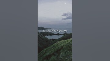 القارئ ماجد الحازمي