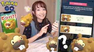初めての選択制スペシャルリサーチ ビッパデイでビッパビッパビッパビッパビッパビッパ ポケモンgo Youtube 初めての選択制スペシャルリサーチ ビッパデイでビッパビッパビッパビッパビッパビッパ ポケモンgo Youtube