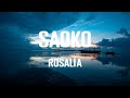 Rosalía SAOKO Musica Letra mp3