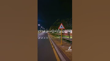 سورة: القصص/القارئ: ريان: المحيسني 🤍