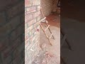 plumber tricks#trendingshorts#viral#trendingpost#shorts#short#electrician#plumber #plumbing
