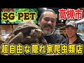 【SG PET】高槻にある超自由な隠れ家爬虫類ショップに潜入!