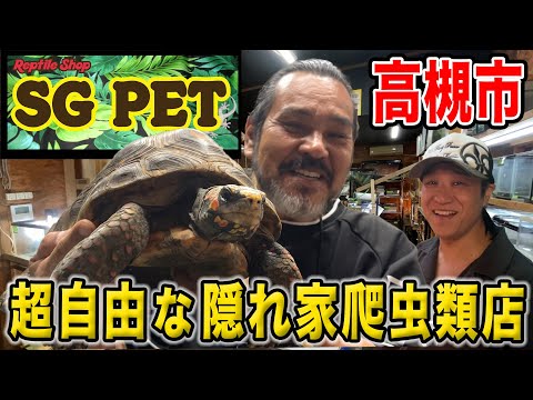 SG PET] Sneak into a super-free, hidden reptile shop in Takatsuki
