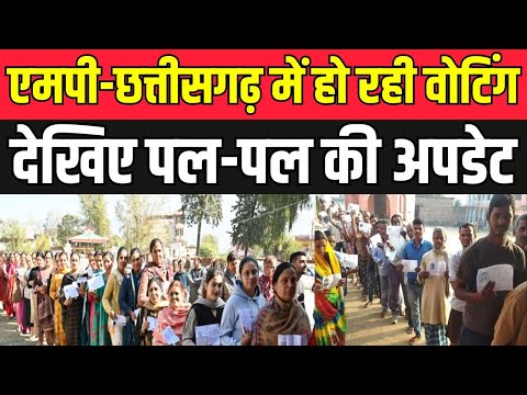 MP-CG Assembly Election 2023 Live: एमपी-छत्तीसगढ़ की 300 सीटों पर वोटिंग LIVE | BJP | Congress | BJP