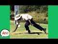 Get Ready for GRASS STAINS! 😅😂 | Funny Fails | AFV 2020