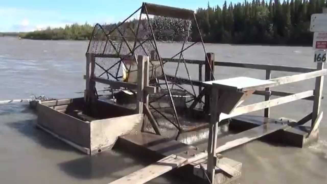 SALMON FISHWHEEL ON THE COPPER RIVER, ALASKA YouTube