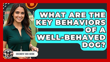 What Are the Key Behaviors of a Well-Behaved Dog? | Obedient Dog Guide