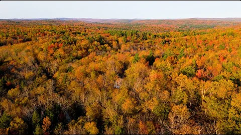 Beautiful Drone Footage of Fall Foliage In New England