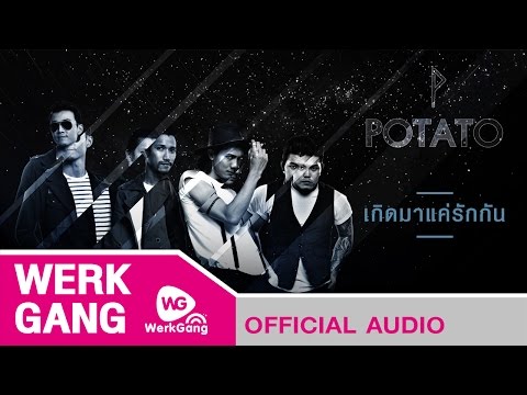 เกิดมาแค่รักกัน - Potato