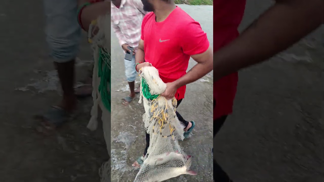 Medchal Lake Fishing 2025 