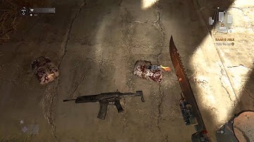 Dying Light - The Following - Story : Kaan & Able