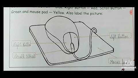 Class-2nd (Lesson-5) "More About Using A Mouse"