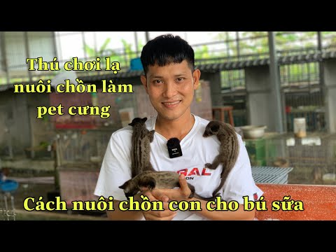 Video Thú Chơi Lạ Nuôi Chồn Con Cho Bú Sữa Làm Thú Cưng|Kỹ... - youtube