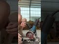 #100 angle grinder cutting disc#Sharp and durable, happiness is that simple#mine