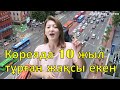 Менің Кореяны жақсы көруімнің 6 түрлі себебі | Кореяны осы үшін жақсы көремін