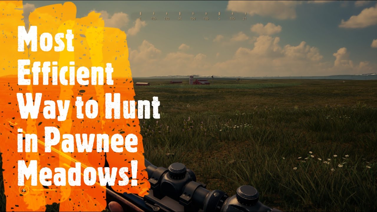 Most Efficient Way to Hunt in Pawnee Meadows! Hunting Simulator 2