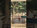 A Teahouse That Tells A Story About Meiji Japan 1880 A Teahouse That Tells A Story About Meiji Japan 1880