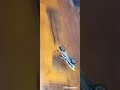 улитаю на Гаити #фелс