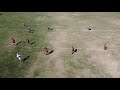 2021 USA Touch Junior Nationals Final