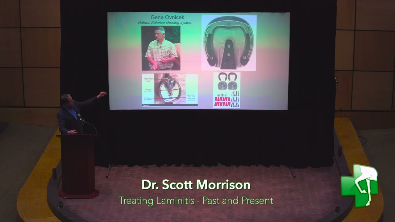 Доктор Скотт Моррисон, клиент RREH, Эд, 2025 г.