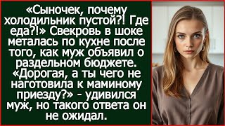 картинка: «Сыночек, а где еда?!» Удивилась свекровь после того, как муж объявил о раздельном бюджете.