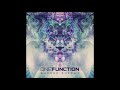 One Function - Sacred Energy