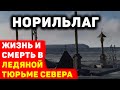 Норильлаг: жизнь и смерть в ледяной тюрьме Севера