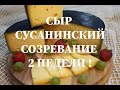 Сыр Сусанинский , рецептура приготовления в домашних условиях   Вызревание 2 недели