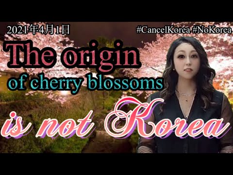 #CancelKorea #NoKorea, The origin of cherry blossoms is not Korea.