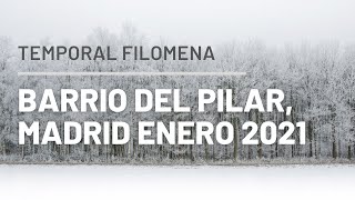 Filomena- Nieve en Barrio del Pilar Madrid 2021.