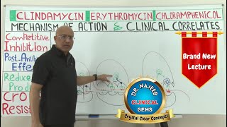 Prokaryotic Protein Synthesis | Translation🩺 by Dr. Najeeb Lectures 8,423 views 3 months ago 1 hour, 5 minutes