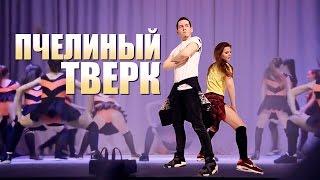 IZBA: Пчелиный тверк / Тверк пчел / Винни Пух и пчелы / Танец пчел