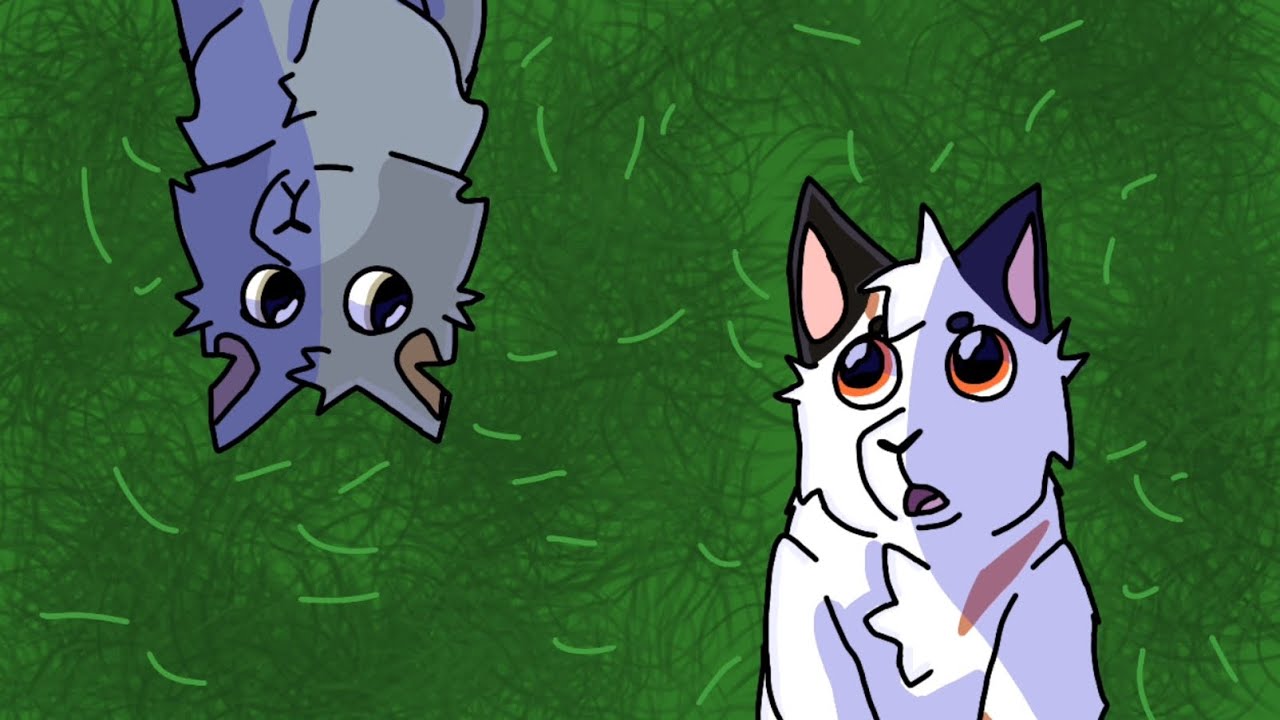 For the Last Time // Blackstar and Stonefur