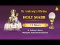 HOLY MASS | ST. ANTHONY SHRINE | METTUGUDA, HYDERABAD | 19 MAY 2026, 12PM | ENGLISH | DIVYAVANI TV