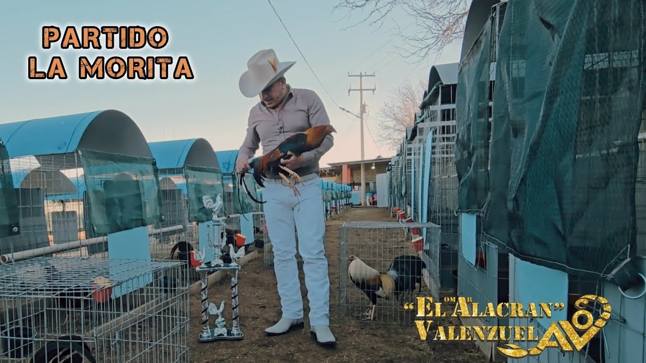PARTIDO LA MORITA - EL ALACRÁN VALENZUELA
