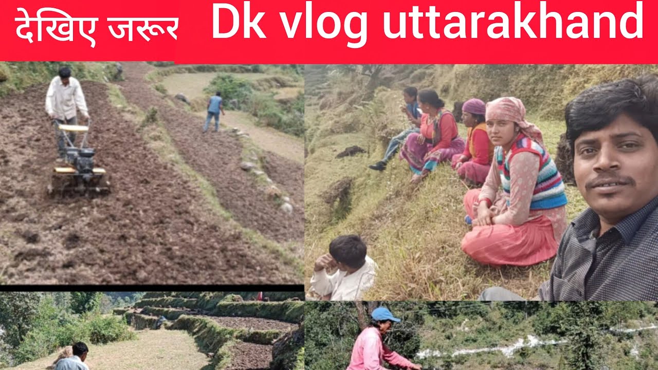 पहाड़ो में खेती, बाड़ी।। Dk vlog uttarakhand ।।
