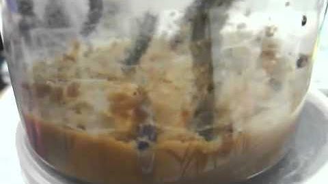 Luna view of the caterpillars