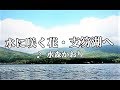 カラオケ練習用「水に咲く花・支笏湖へ (水森かおり)」