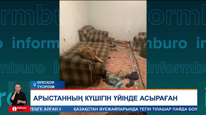 Алматы облысының тұрғыны үйінде арыстанның екі күшігін заңсыз асыраған