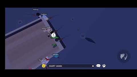 Câu cá voi sát thủ trong game Play Together