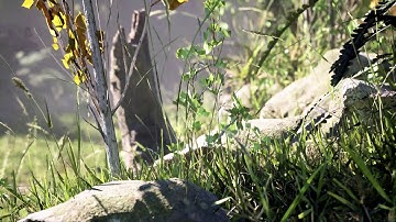 Forest cinematic, but made on PC with unreal engine.