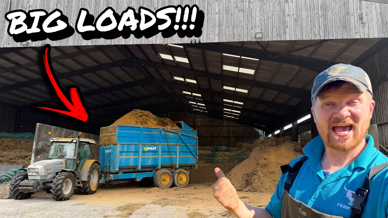 Latest Title & Thumbnail