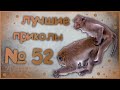 Лучшие приколы 52😂 очень смешные приколы 😂 10 минут смеха 😂 подборка приколов 😂 приколы 2019 год