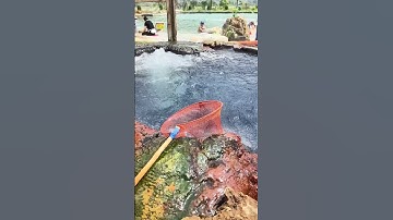 Khám phá món trứng siêu đặc biệt nấu từ suối nước nóng