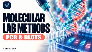 Molecular Lab Methods | PCR, Blots, Sequencing & FISH | USMLE Step 1