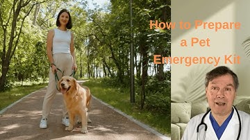 How to Prepare a Pet Emergency Kit?